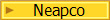 Neapco